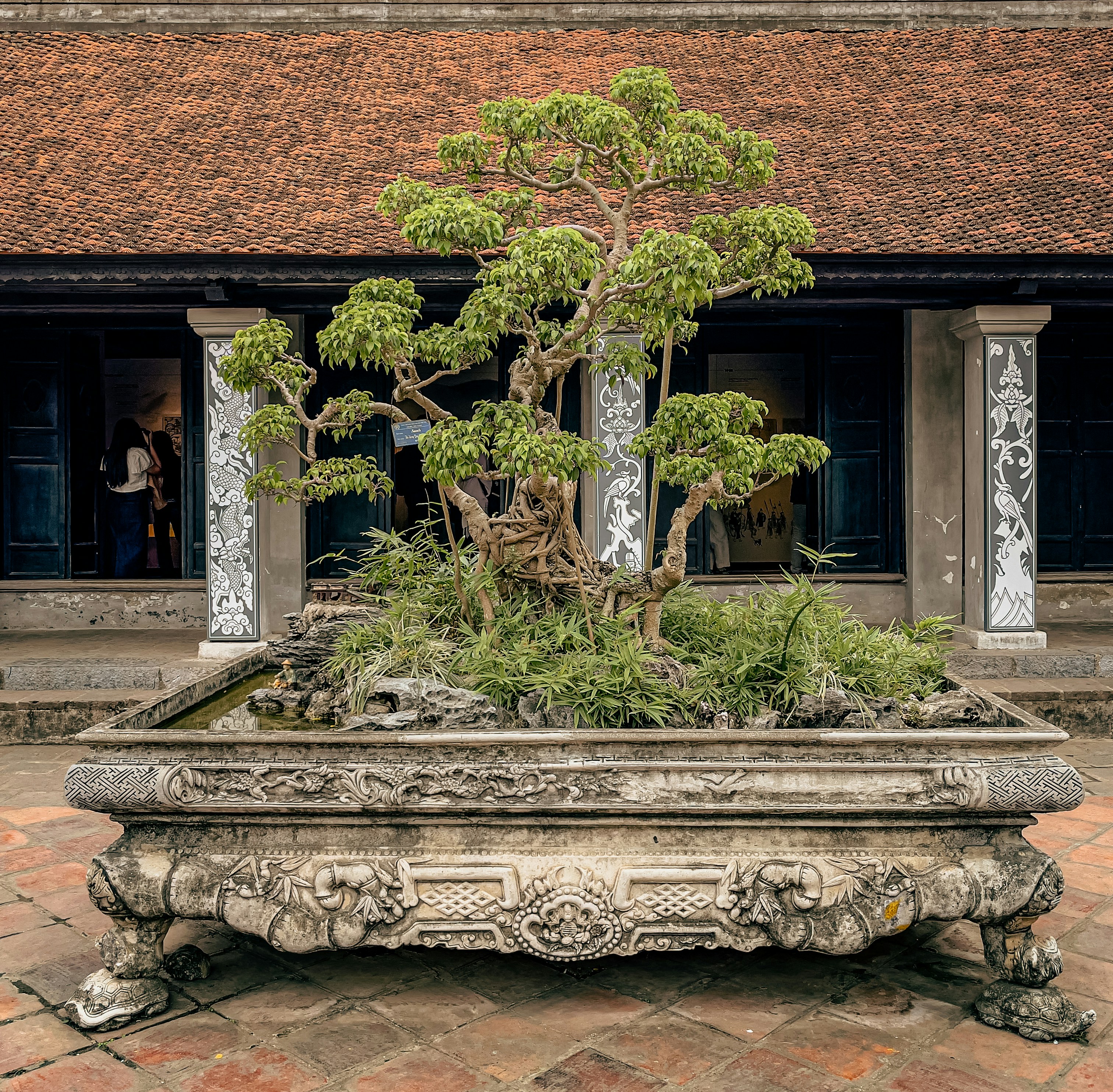 Ornamental bonsai tree in a carved stone planter, representing traditional bonsai display