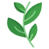 Your Garden